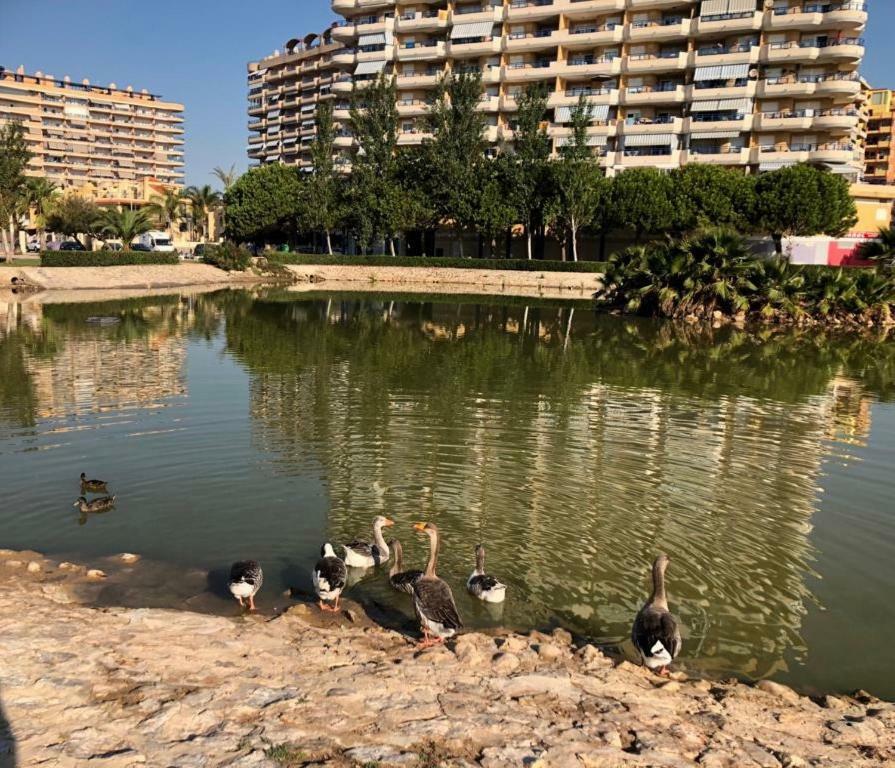 Retiro Playa Y Tavernes de Valldigna